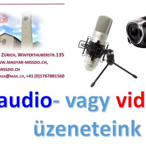 audviduzenet